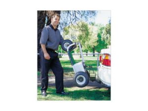 Golf buggy car carrier