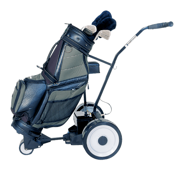 parmaker golf buggy for sale