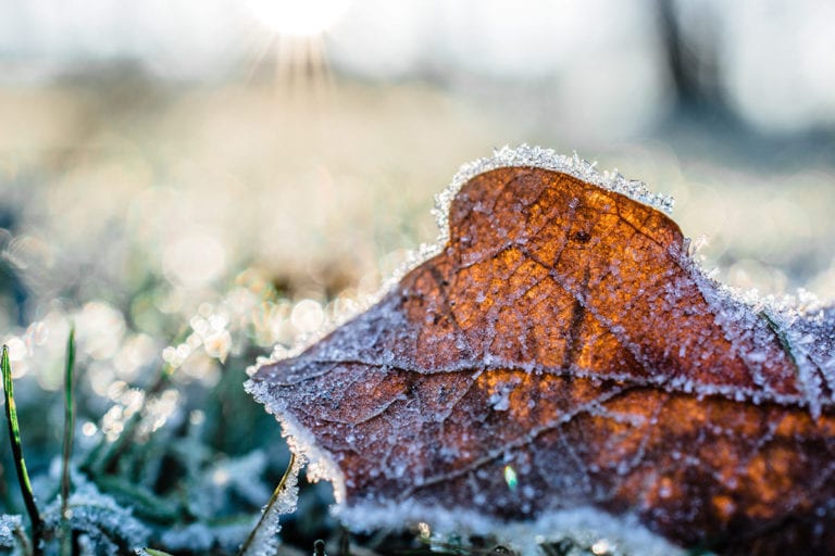 How to make playing cold weather golf a more enjoyable experience